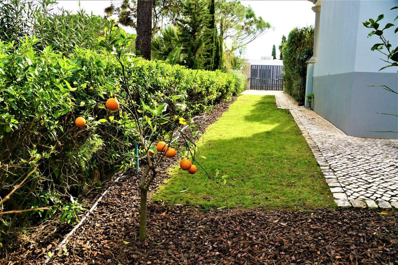 Charming Exceptional Golf Villa In Algarve Distrikt Distrikt Faro Exterior foto